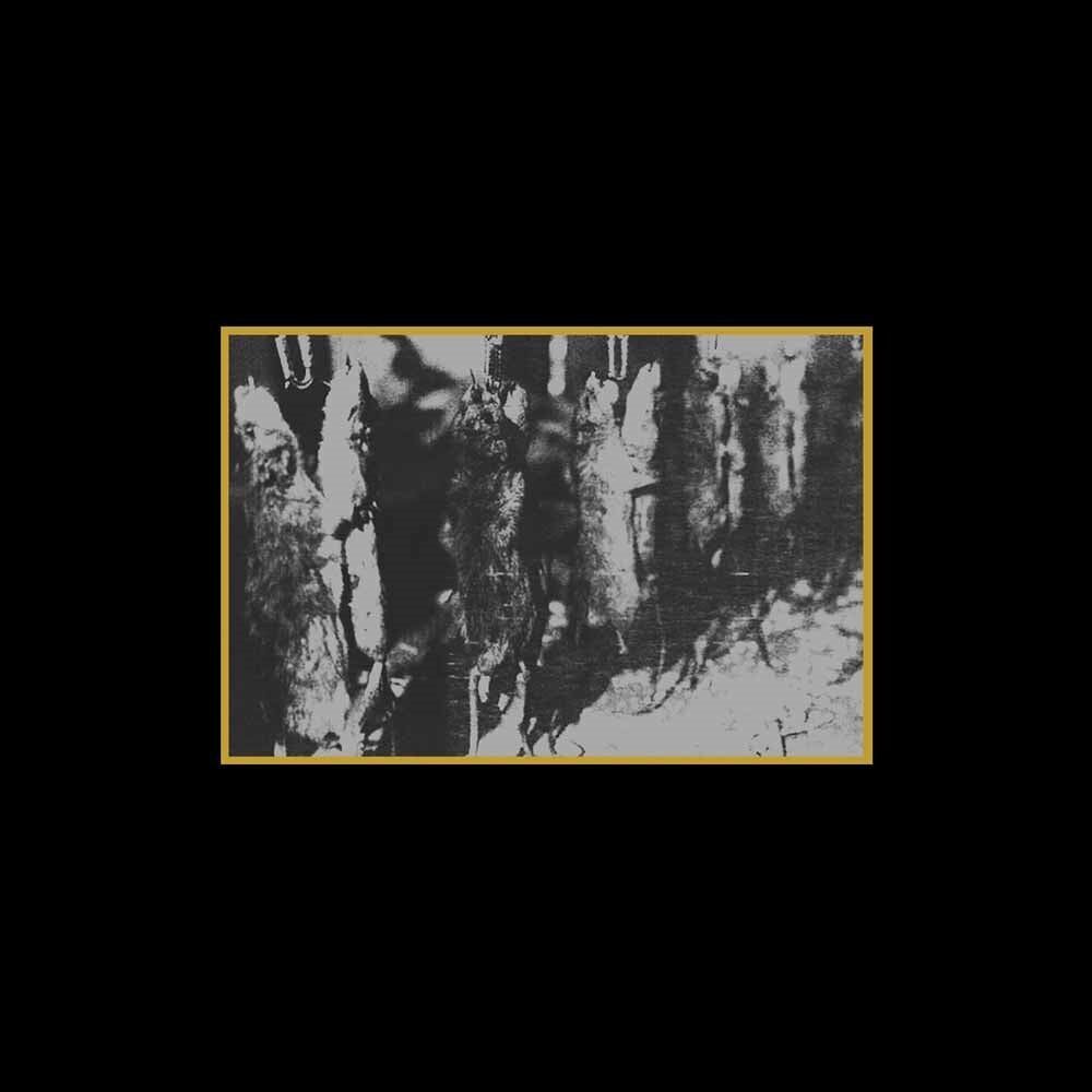 LP de plusieurs artistes – Ancient Meat Revived – Un hommage à l'industrie de la charcuterie