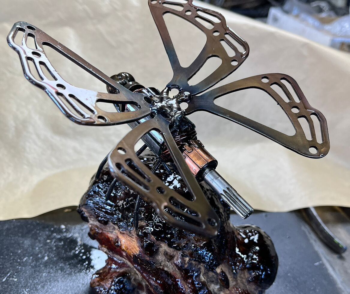 Farfalla su radica di legno