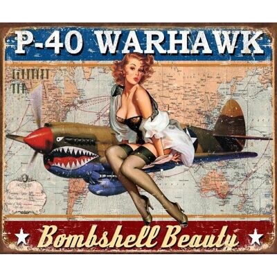 Plaque metal P-40 Warhawk