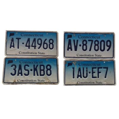CONNECTICUT: targa americana 30x15 cm piatta con rilievo