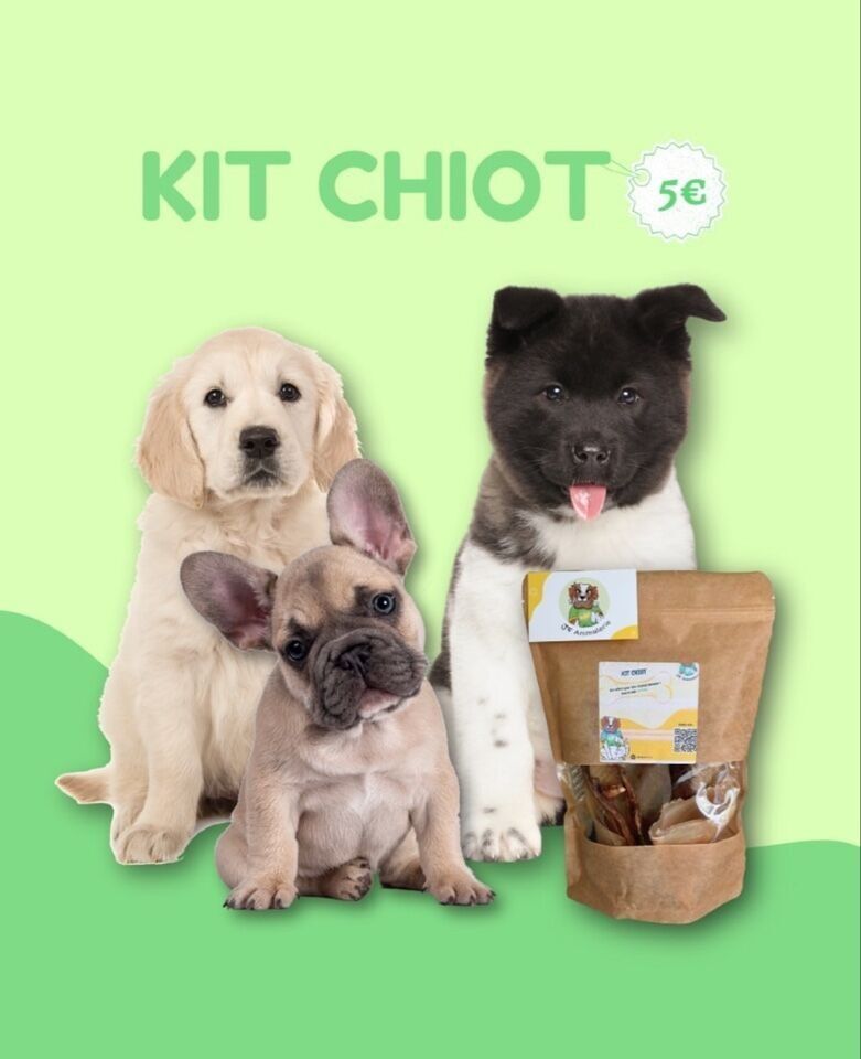 JF ANIMALERIE Kit per cuccioli / Dolcetti per cani