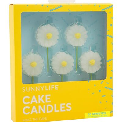 Daisy Cake Candle S5%