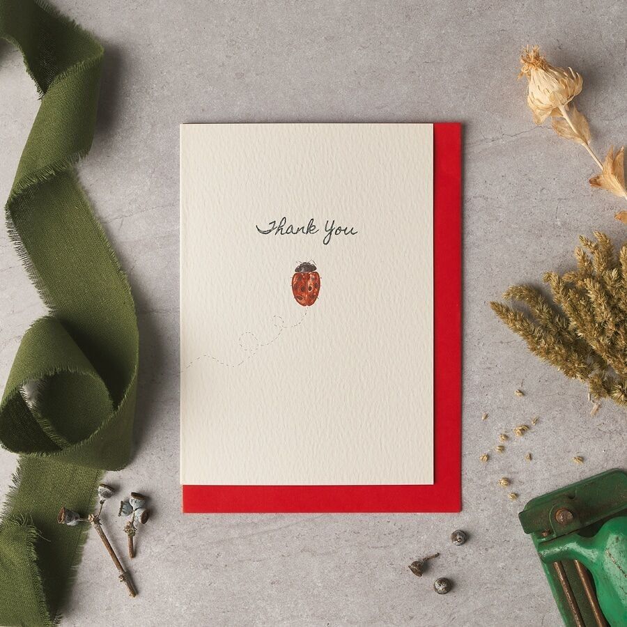 Biglietto di ringraziamento Coccinella