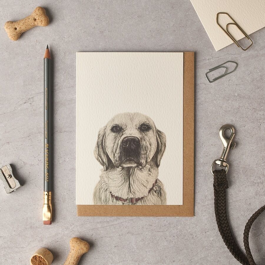 Zara Goldador Blankokarte