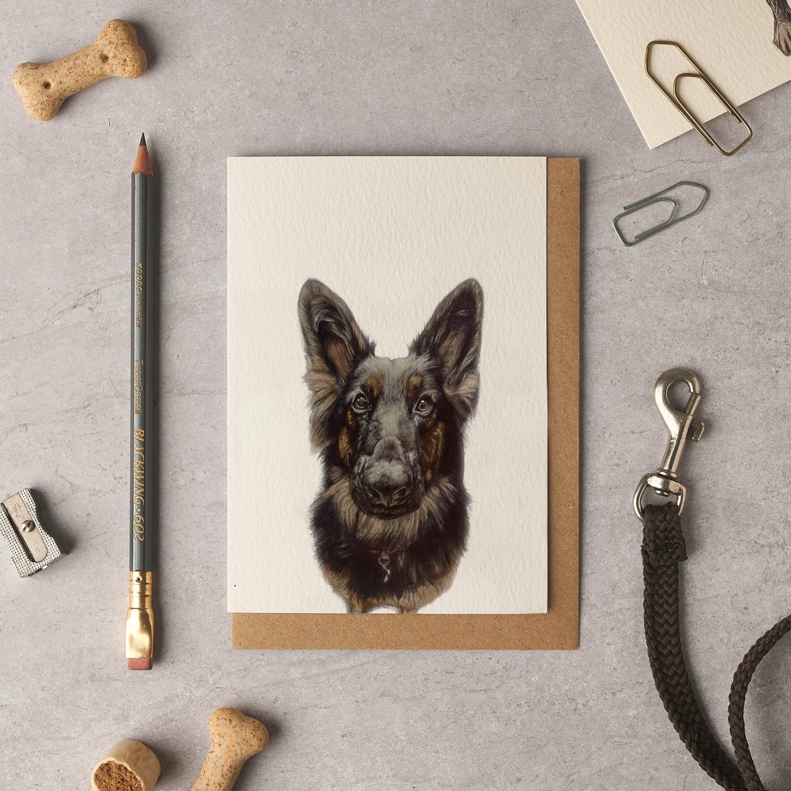 Pastore tedesco Raya