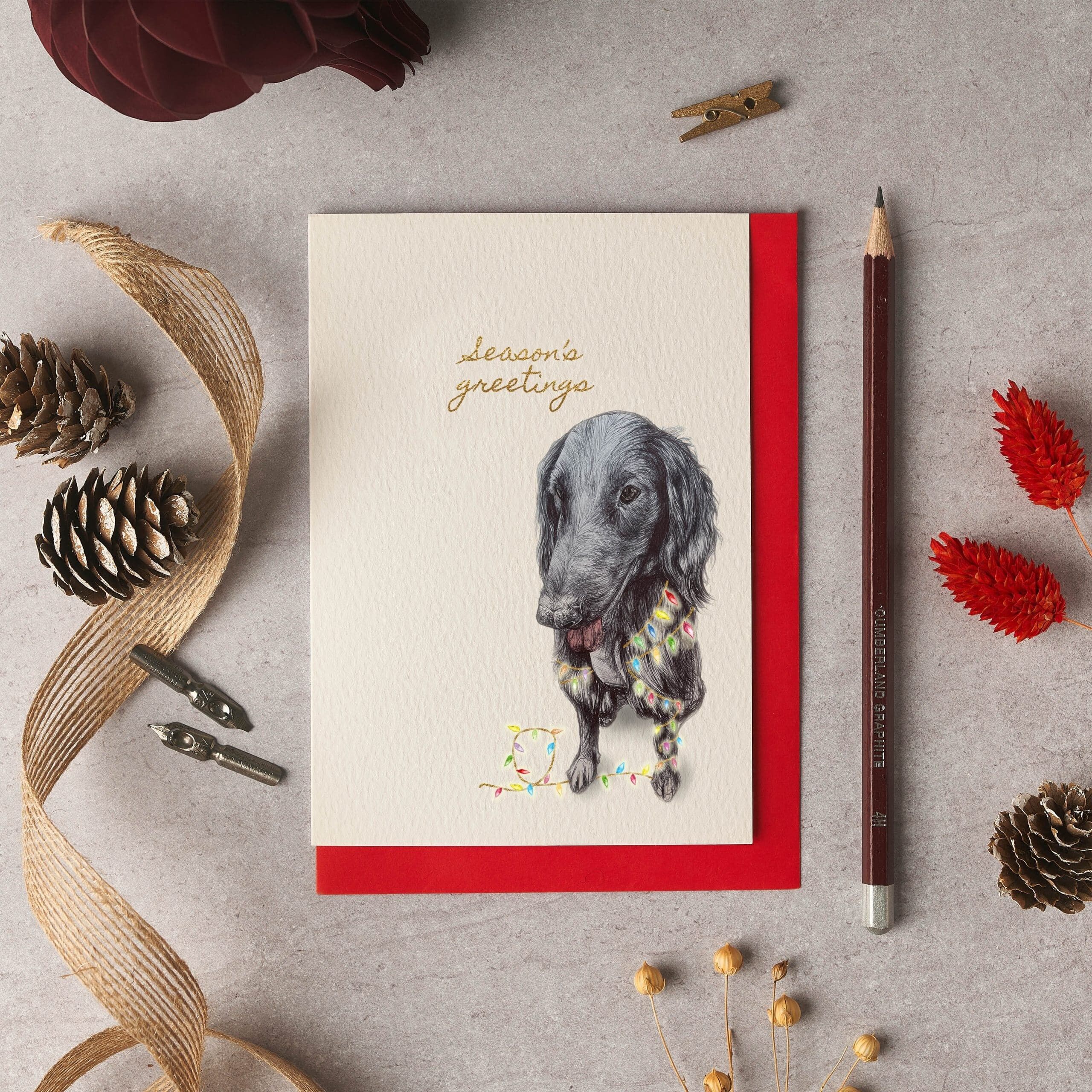 Biglietto di Natale Barney Flattie