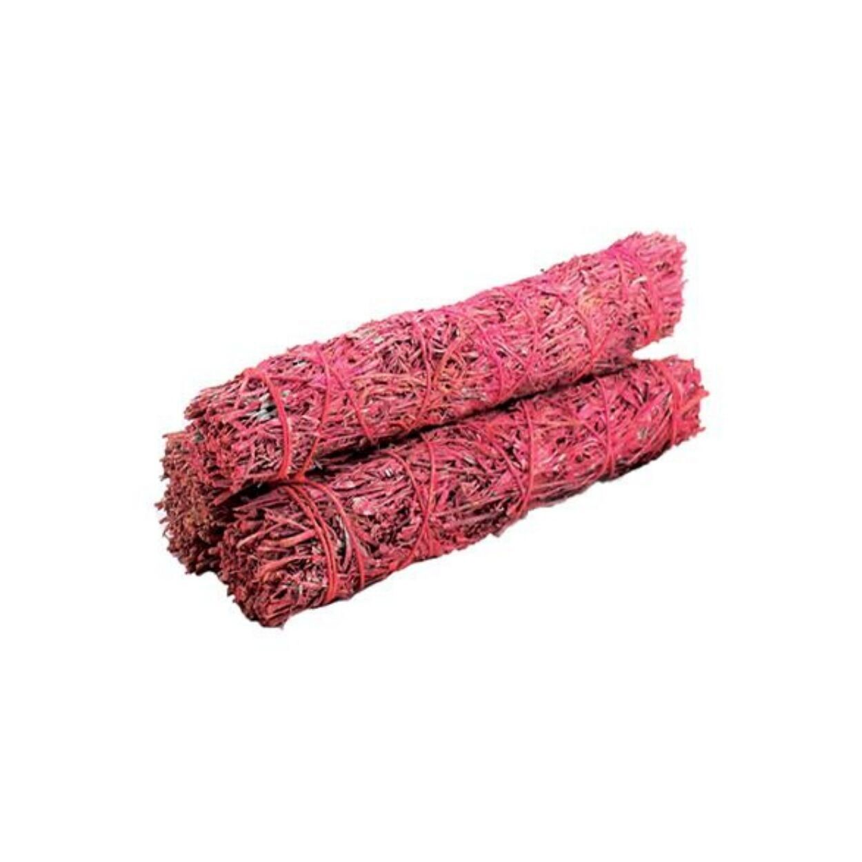 Salvia Sangue di Drago 15cm