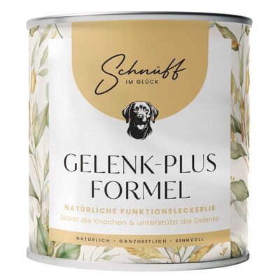 FORMULA JOINT-PLUS