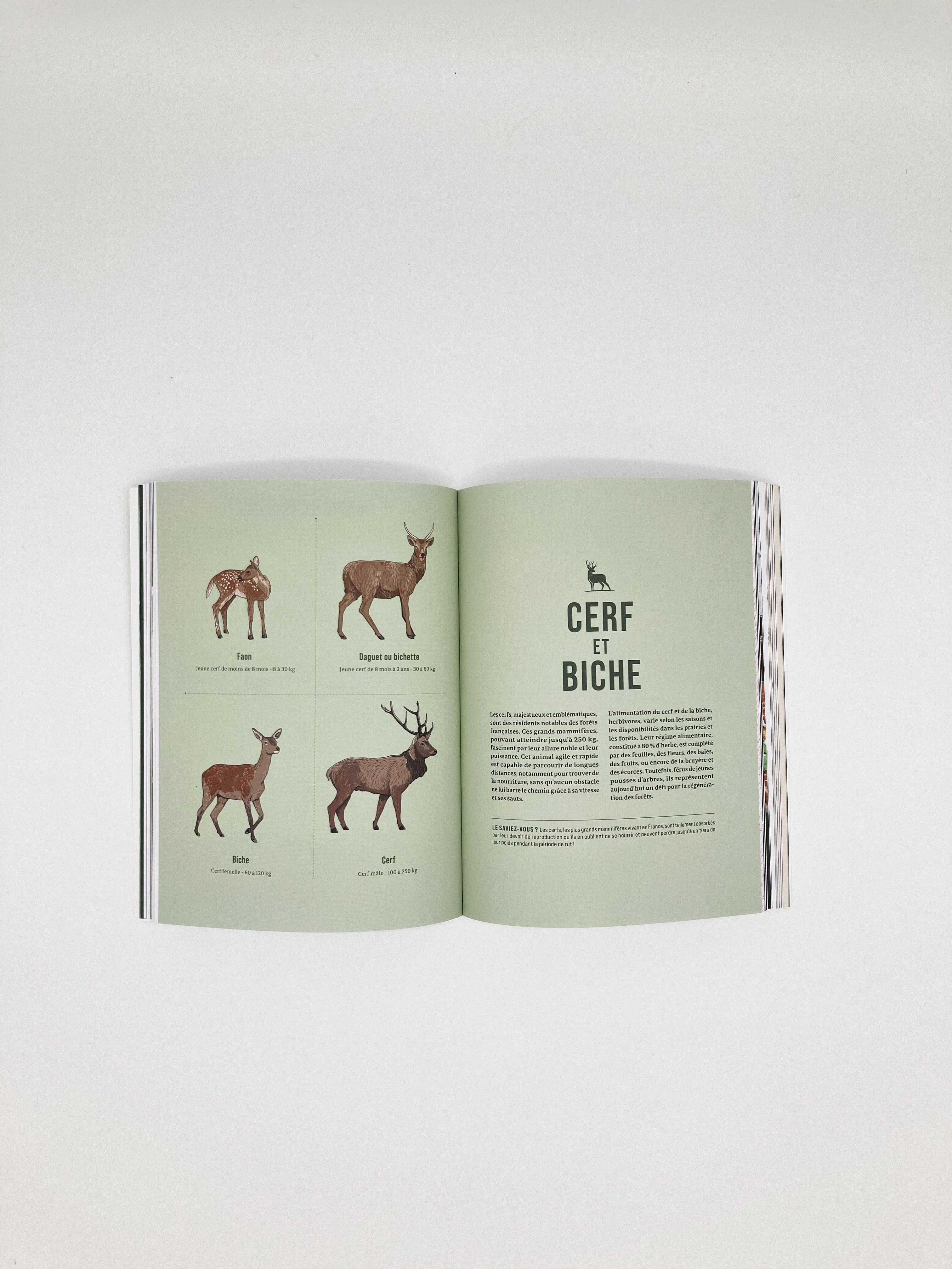 "Cuisiner la viande sauvage" - Livre de recettes de gibier