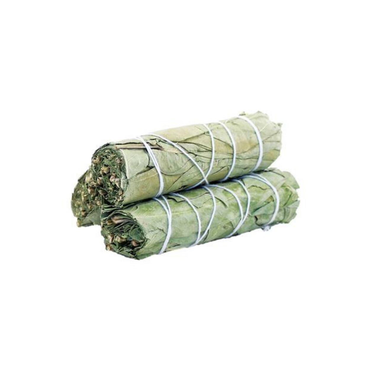 Smudge Stick Salie di eucalipto 10 cm (prezzo per pezzo)