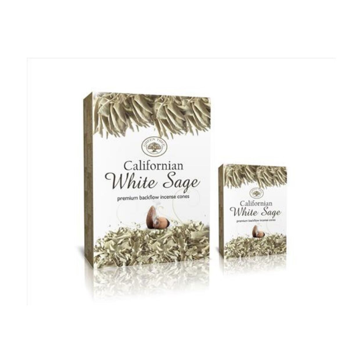 Coni di riflusso di salvia bianca californiana Green Tree (confezione da 12)