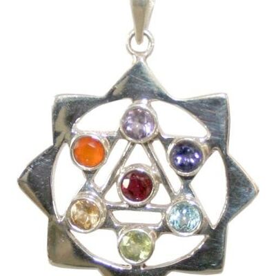 Pendentif Chakras Sri Yantra