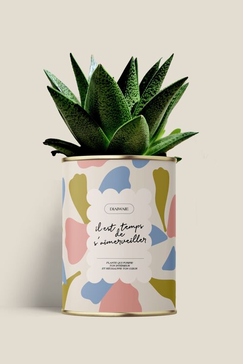 IL EST TEMPS DE S'AIMERVEILLER - Aloé / Cactuss - Maxi