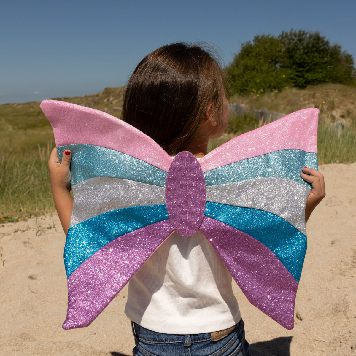 Ailes de Papillon Rose Multicolore