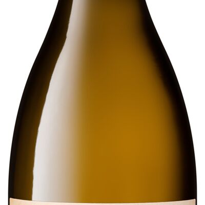 Encore Soif Blanco Seco Sémillon-Sauvignon 2022 Burdeos AOC 750 ml - orgánico