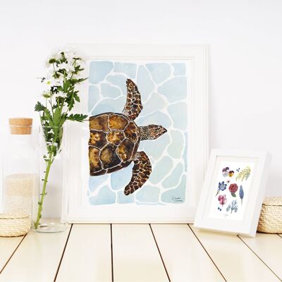 The Turtle - Watercolor Illustration - Print - Illustrated Card