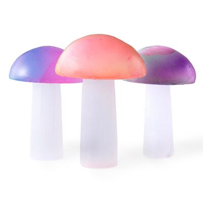 Electroplated Selenite Mushroom (Green/Pink/Purple)