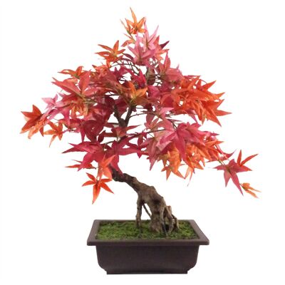 Bonsaï artificiel érable rouge Bonsaï 50 cm Feuille Design Arbres Plante réaliste Botanik