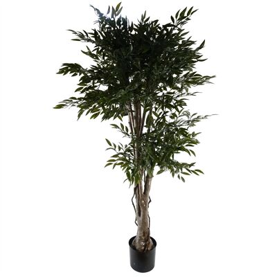Pianta artificiale Ruscus Tree- 2716 foglie PROTETTE UV PER ESTERNI Botanik