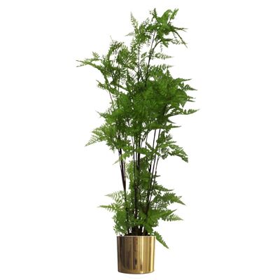 Fougère artificielle en mousse d'aspect naturel, grande jardinière dorée, 150 cm, 5 pieds, réaliste, Botanik