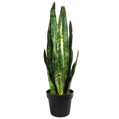 Plante artificielle plante serpent tropicale Zeylanica Sansevieria 70cm Sansevieria Botanik