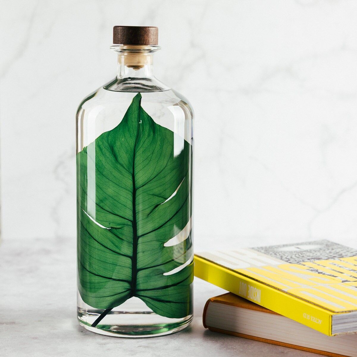 Théophile's Herbarium - XL Format Monstera Jar 3 Liters - Submerged Plant