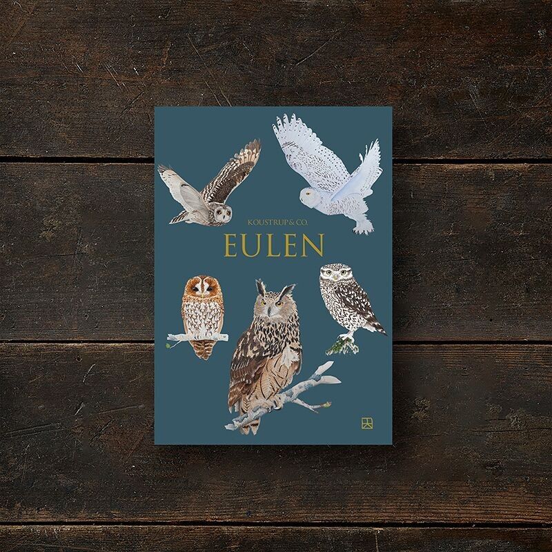 Eulen - 8 carte (tedesco)