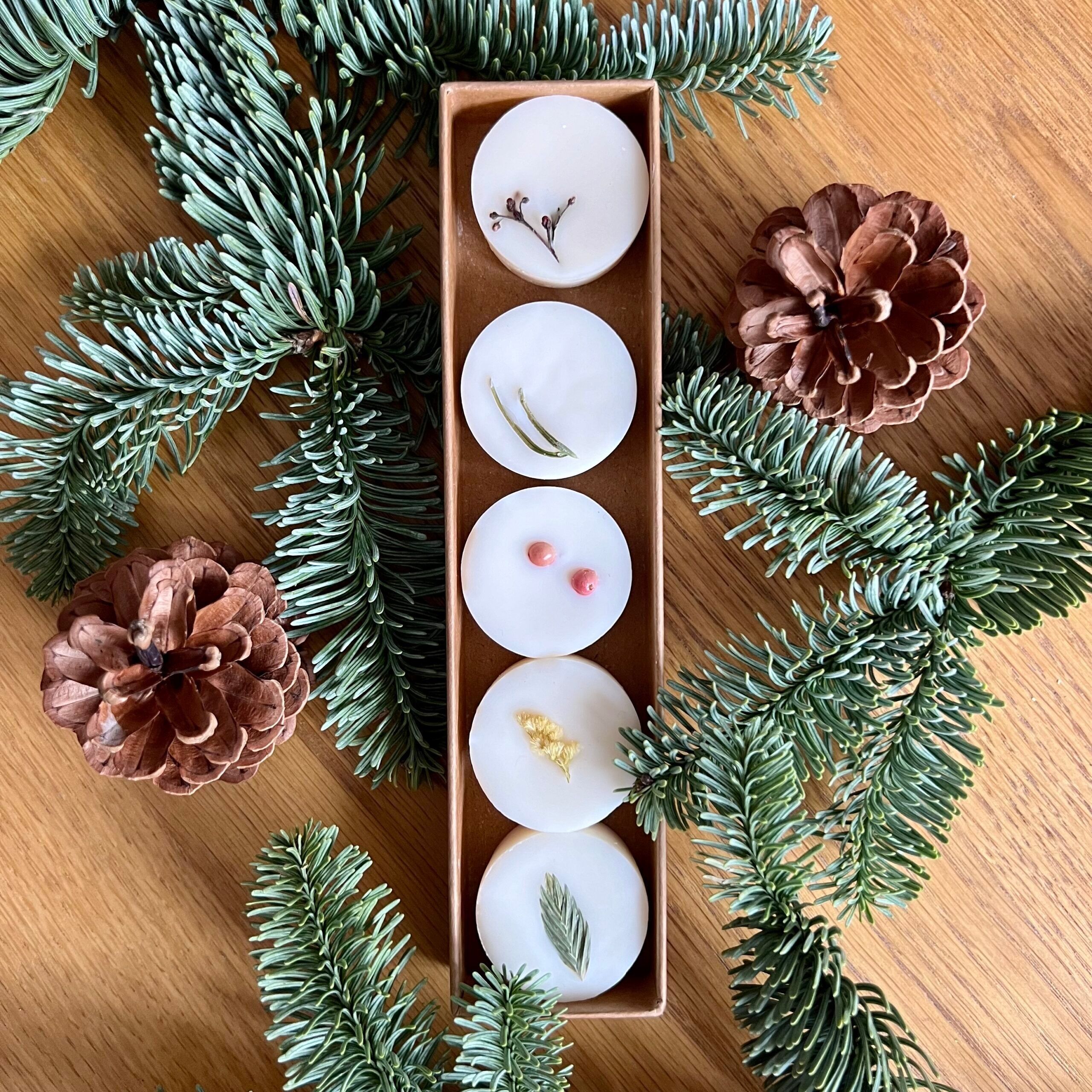 Scatola da 5 fondenti profumati invernali