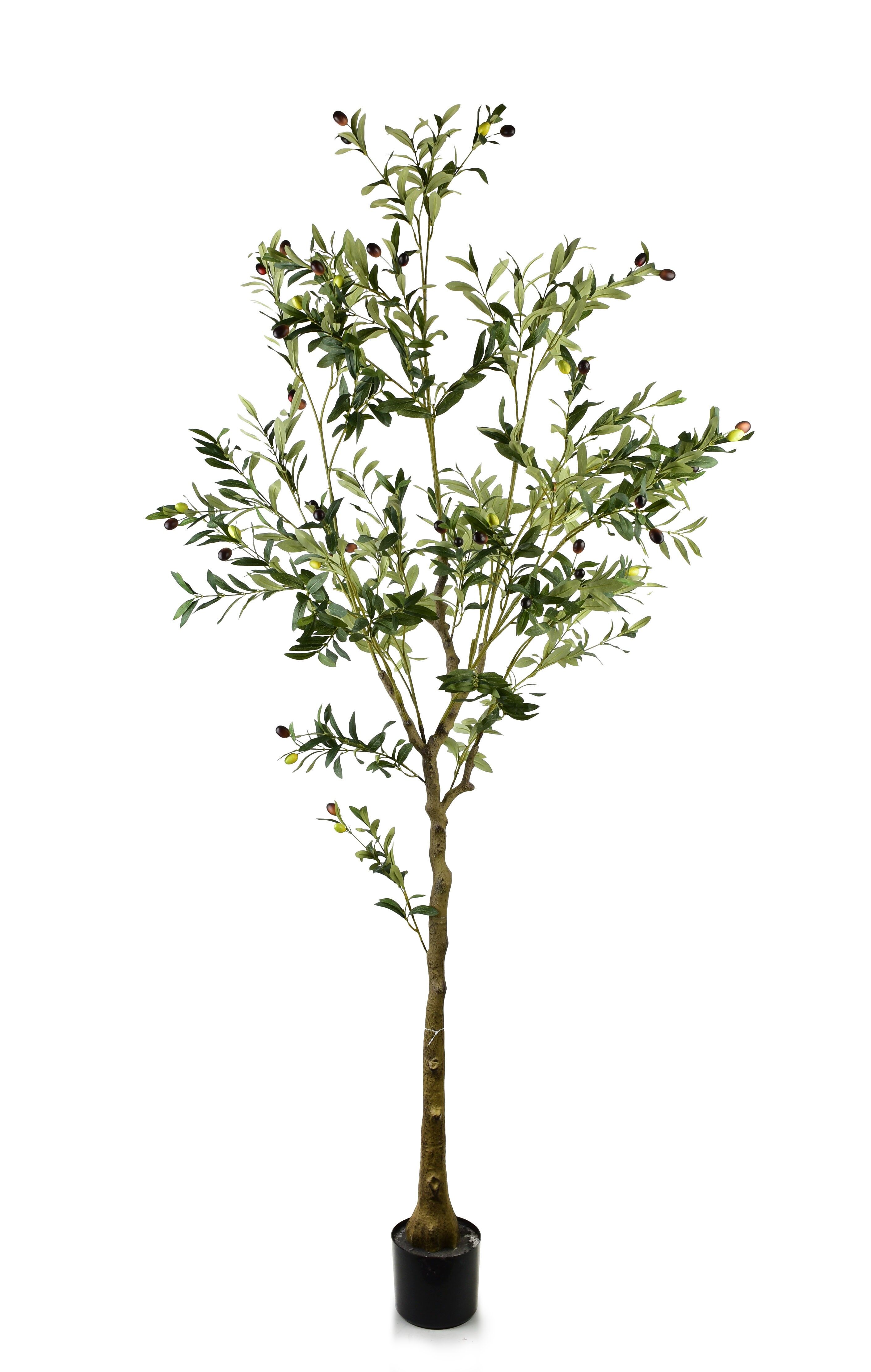 OLIVE Fiore artificiale h:180cm
