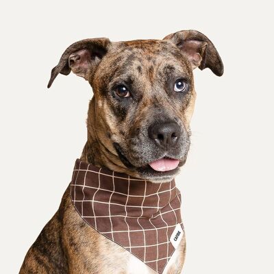 Hundehalstuch Design Lines Braun, Creme