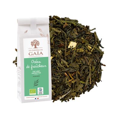 Thé vert Bio aromatisé Océan de fraîcheur 100g AB & WFTO
Agrumes (HE)