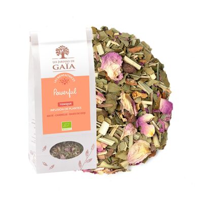 Potente Infuso Biologico 100g Tonico/Mate - Cannella - Bacche di Goji