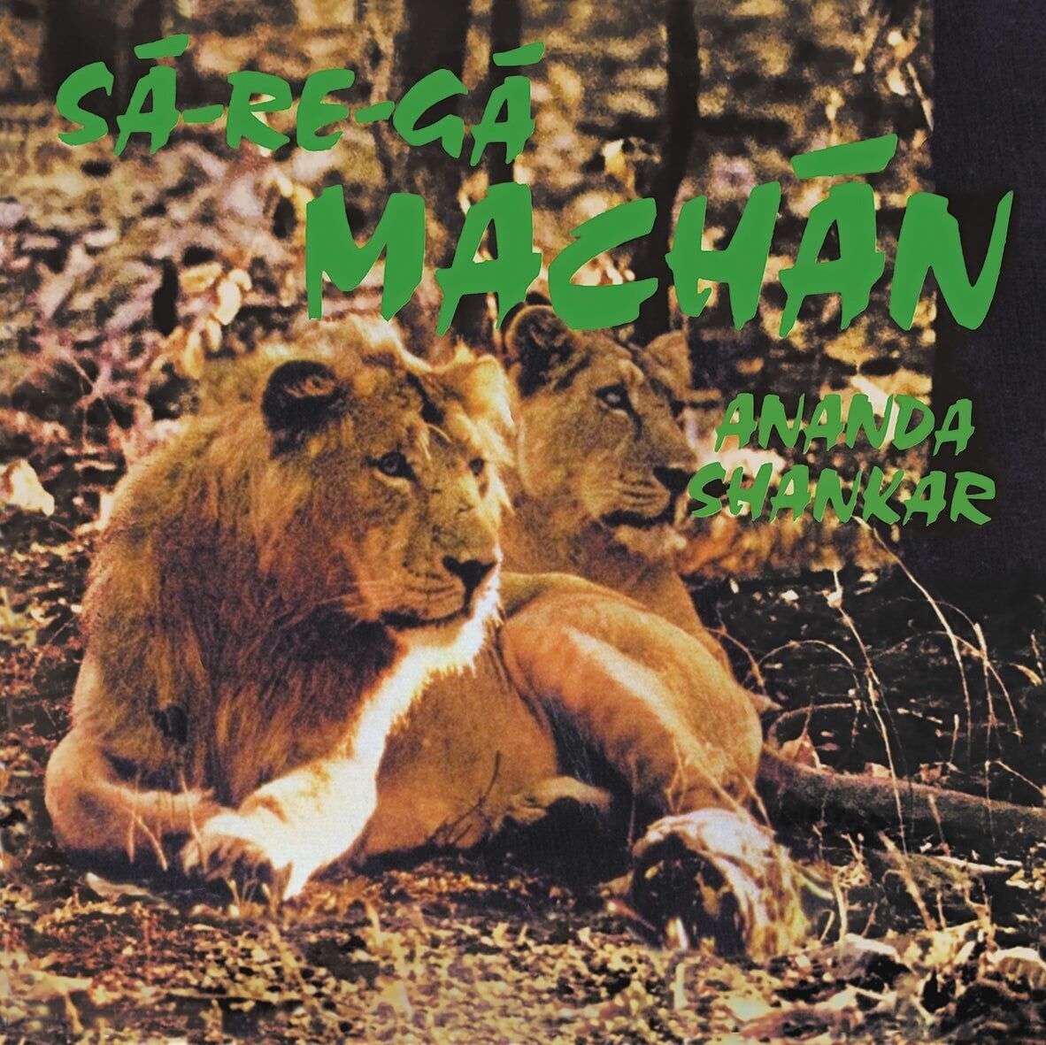 Ananda Shankar LP - Sa-Re-Ga Machan