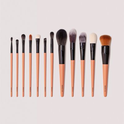 Professional Brush Set