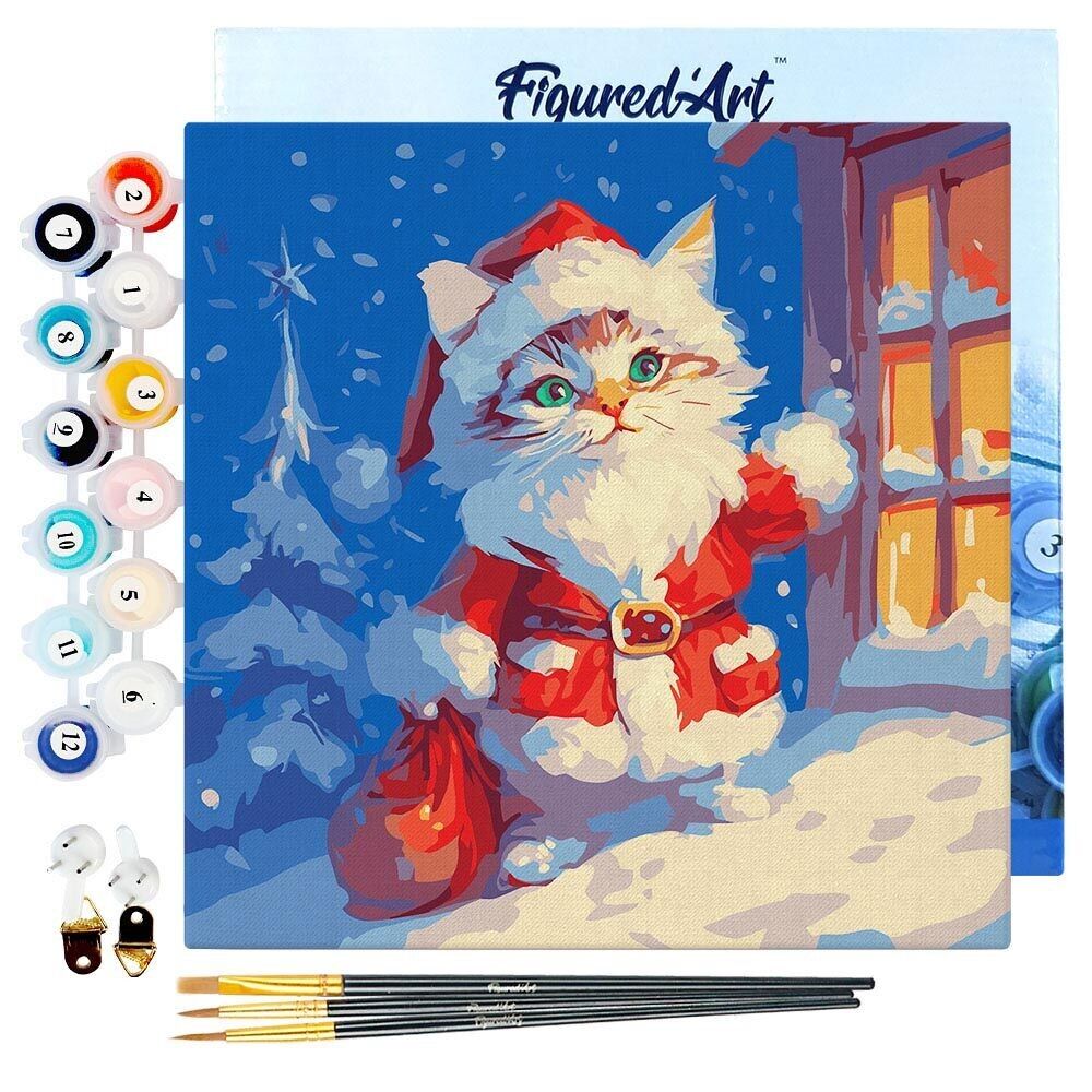 Mini dipinto con i numeri 20x20 cm con cornice Babbo Natale Gatto