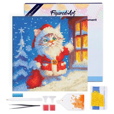 Mini Diamond Painting 25x25 cm con cornice - Gatto Babbo Natale