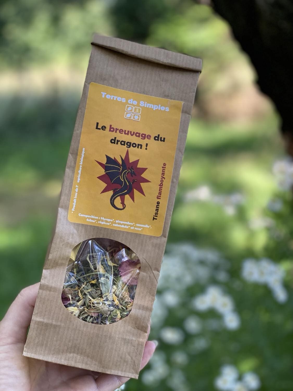 La Birra del Drago - Tisana