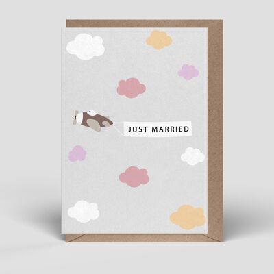 Folding card - wedding card - airplane - No.261