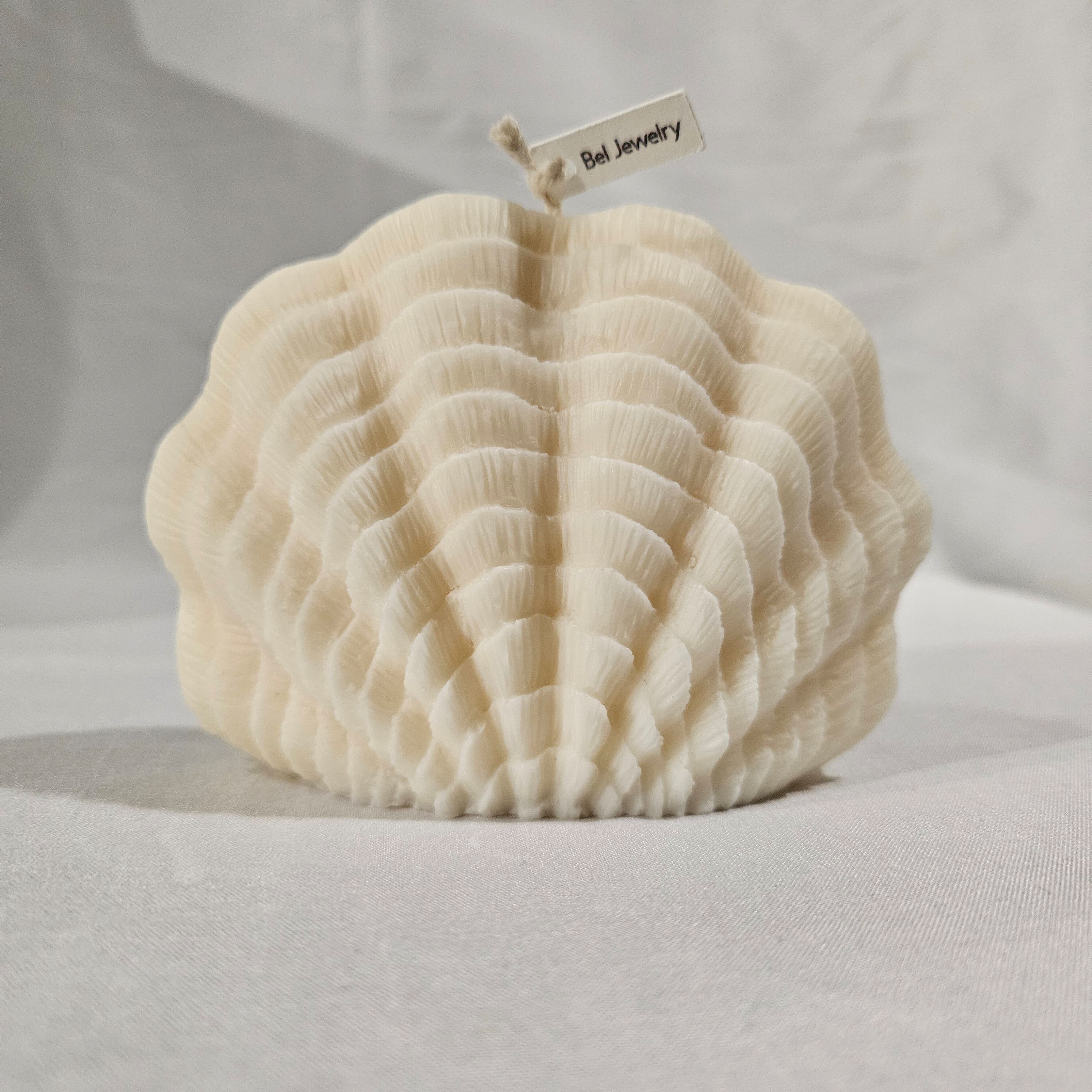 Candela Conchiglia in Cera Naturale