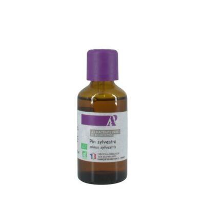 Pino silvestre biologico - Macerazione delle gemme