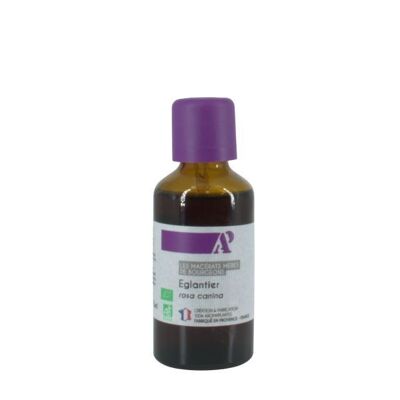 Rosa canina biologica - Macerato di germogli
