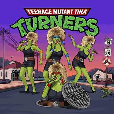 Greeting Card - Jim'll Paint It - Teenage Mutant  Tina Turners / Ninja Turtles 107