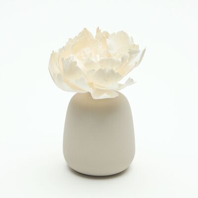 Difusor de fragancias - CORALI Creme