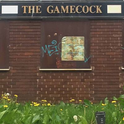 Tarjeta de felicitación - Instadom "The Gamecock Pub - Manchester"