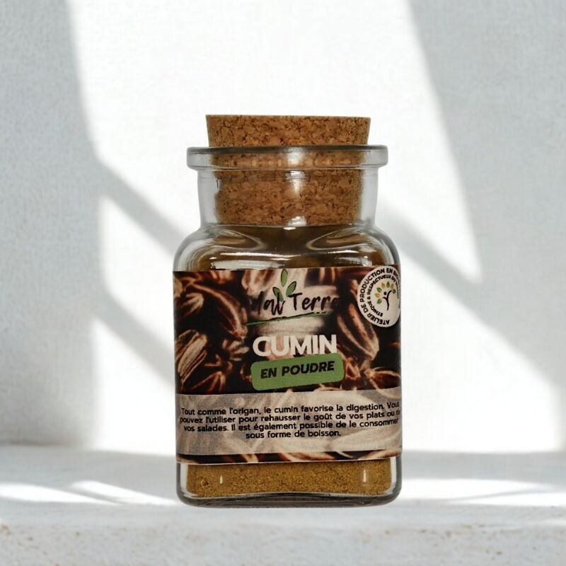 Cumino biologico (in polvere) 60G
