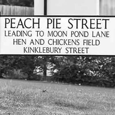 Sottobicchiere - ispirato a Discworld di Terry Pratchett - Peach Pie Street