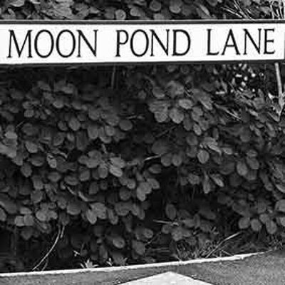 Coaster - inspired by Terry Pratchett's Discworld - Moon Pond Lane