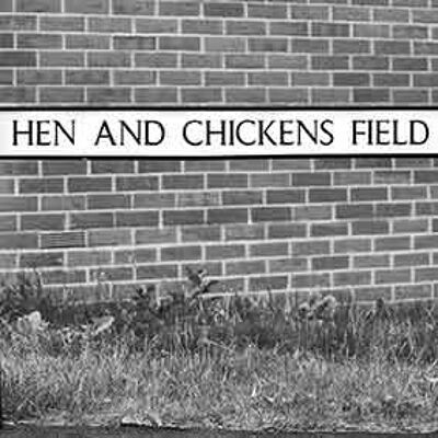 Untersetzer - inspiriert von Terry Pratchetts Scheibenwelt - Hen & Chickens Field