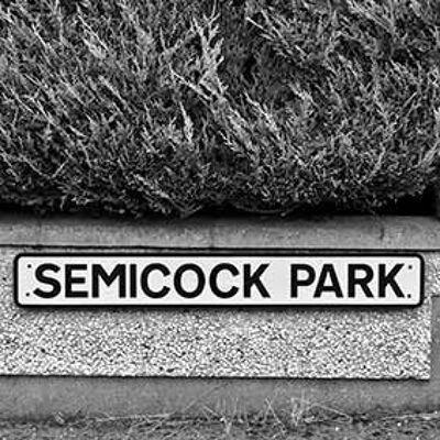 Achterbahn - Semicock Park