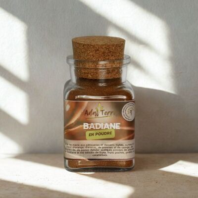 Badiane Bio (en poudre) 60G